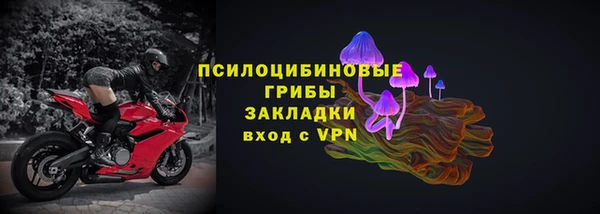 прущие грибы Семикаракорск