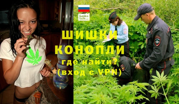 прущие грибы Семикаракорск