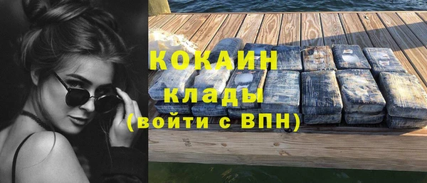 прущие грибы Семикаракорск