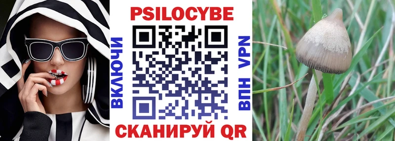 Псилоцибиновые грибы Cubensis Харовск