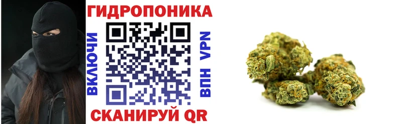 Шишки марихуана OG Kush  даркнет сайт  Харовск 